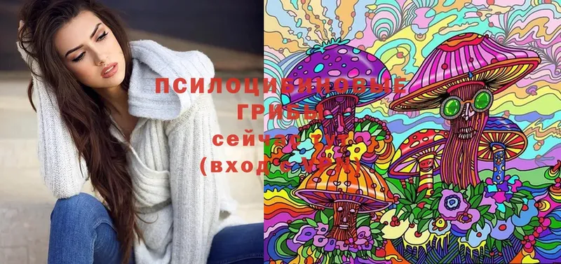 Псилоцибиновые грибы MAGIC MUSHROOMS  сколько стоит  Чусовой 